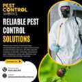 Pest Control Services In Pascoe Vale For Complete Property Care | Pest Control Works