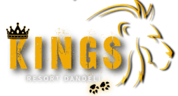 Bangalore, Travel, King Dandeli Resorts Luxury Stay & Adventure Experience In Dandeli