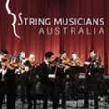 Premium String Quartet Newcastle By String Musicians Australia