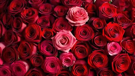 San Francisco, Food, Best Flower Delivery San Francisco | Fresh & Artistic Blooms By Bell & Trunk