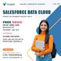 Free Salesforce Data Cloud Demo &ndash; Limited Seats, Join Now!
