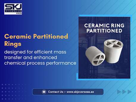 Dubai, Business, Ceramic Ring Partitioned In Dubai: High Performance Industrial Solution