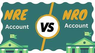 Navi Mumbai, Accounting, TRANSFERRING MONEY FROM NRO TO NRE