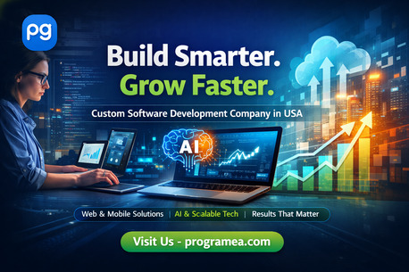 Houston, Business, Custom Software Development Company In USA - Programea