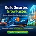 Custom Software Development Company In USA - Programea