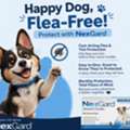 USD 36,  Nexgard Chewable For Dogs - Get 20% OFF + Free Shipping