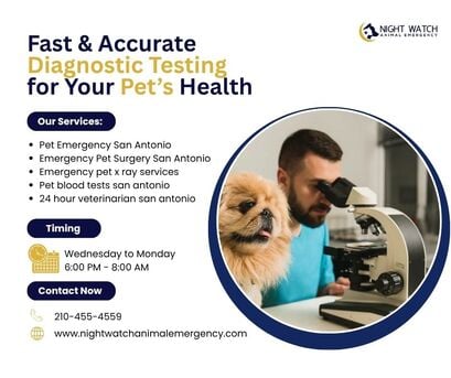 New York, Health, Fast & Accurate Diagnostic Testing For Your Pet&rsquo;s Health