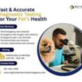 Fast & Accurate Diagnostic Testing For Your Pet&rsquo;s Health