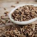 Cumin Seeds Suppliers In Chennai