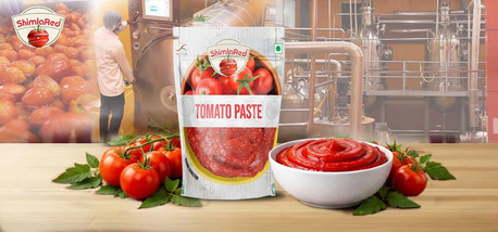 Mumbai, Food, INR 290,  Tomato Paste Vs Sauce &ndash; Get Pure Concentrated Flavor