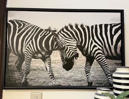 Al Ghadir, Photo & Video, SAR 20050,  Wall Art 20- 50 SR