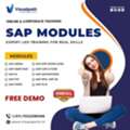 Build A High-Growth SAP Career With Visualpath Now Today