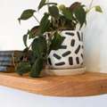 Supreme Curved Corner Shelf Symphony