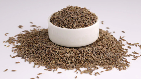 New Delhi, Wholesale Products, Cumin Seeds Suppliers In Delhi