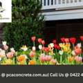 Redfern Landscaper For Lawns & Gardens