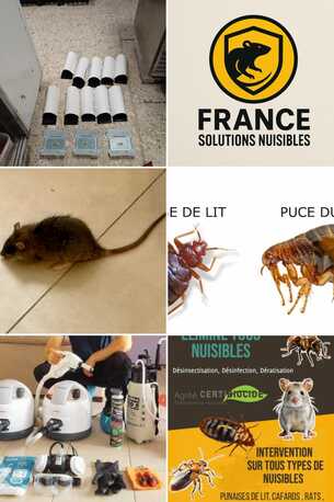 Paris, Pest Control, Entreprise Cafard Paris &ndash; ?limination Rapide Des Nuisibles