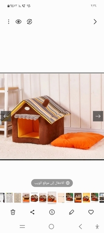 Jeddah, Pet Supplies, SAR 60,  Cat Home