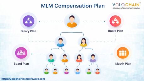 Noida, Software Development, Maximize Profits Utilizing MLM Compensation Plan Software Services