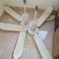 SAR 200,  2 Ceiling Fans Are Available For Sale