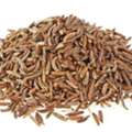 Cumin Seeds Suppliers In Bangalore