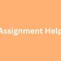 How To Get Top AI Assignment Help Quickly