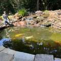Custom Koi Pond Design And Installation Experts In Oklahoma