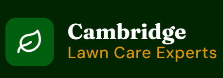 New York, Business, Cambridge Lawn Care Experts