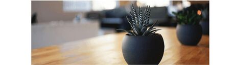 New York, Health, Cognitive Behavioral Therapy Techniques For Anxiety Relief