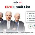 By Accessing Our Top-quality CPO Email List &ndash; Connect With Procurement Heads