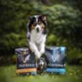 Dog Food For Large Breed Dogs