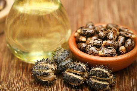 Gurgaon, Health & Beauty Items, INR 199,  Shop Premium Castor Oil For Natural Hair & Skin Care