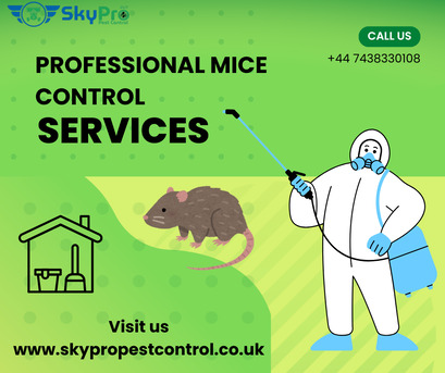 London, Pest Control, Get Rid Of Rat And Mice Twickenham &ndash; Local Experts At Affordable Prices