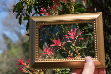 Perth, Household, Picture Framing In Kambalda West WA