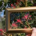 Picture Framing In Kambalda West WA