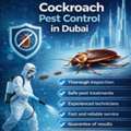 Cockroaches Pest Control Dubai | Al Waha Hygiene Experts