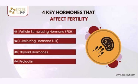 New Delhi, Health, Hormonal Imbalance & Fertility: Tests Doctors Recommend