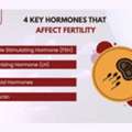 Hormonal Imbalance & Fertility: Tests Doctors Recommend