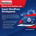 Boost Your Business With Professional WordPress Development