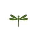 The Dragonfly Nest LLC