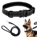 Softy Leather Dog Collar & Leash Set
