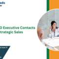 USA Hospital CFO Email List With 95% Accurate Opt-In Data