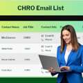 Get Sample UK CHRO Email List For HR Decision Campaign Leads