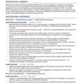 Financial Auditor/ External Auditor