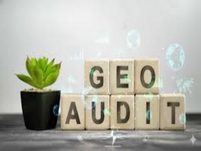 New York, Software Development, Free GEO Audit Tool For Agencies Managing Local SEO Campaigns