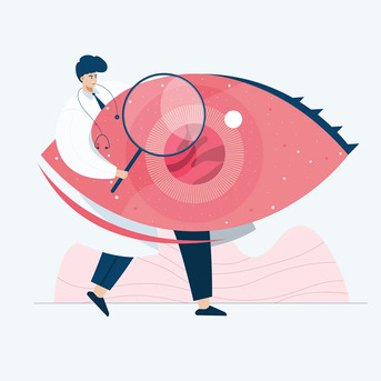 New York, Health, Expert Retina Specialists In Idaho For Vision Protection