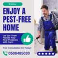 🪳Professional Pest Control In Saudi Arabia &ndash; Fast & Safe