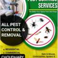 CHOUDHARY EXPERT PEST CONTROL 🔶 SPRAYS AND BED BUGS🧡With GUARANTEED(053=75=72=013)≧⁠▽24