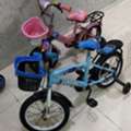 SAR 500, Selling 3 Cycles