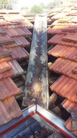 Sydney, Business, Guttering Services Sydney | Able Roof Restoration