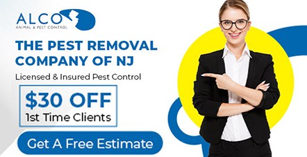 New York, Business, Pest Control Estimate In Northern NJ &ndash; ALCO Animal & Pest Control